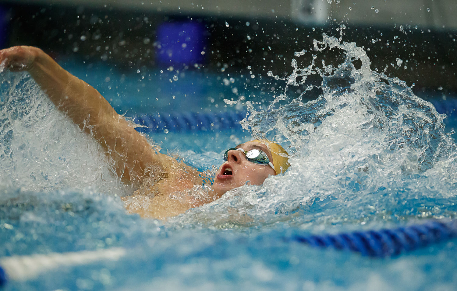 Region swimming 11